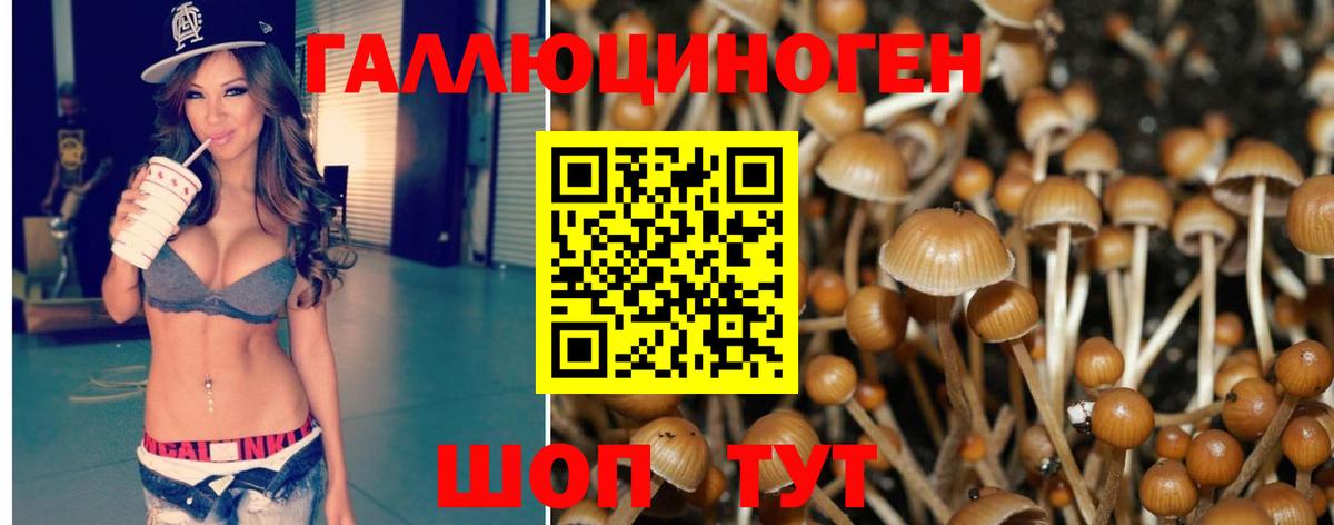 Галлюциногенные грибы Psilocybe  Вход с VPN  наркота  Озёрск 